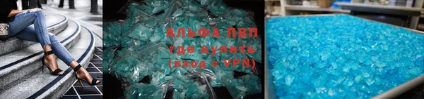стаф Новокубанск