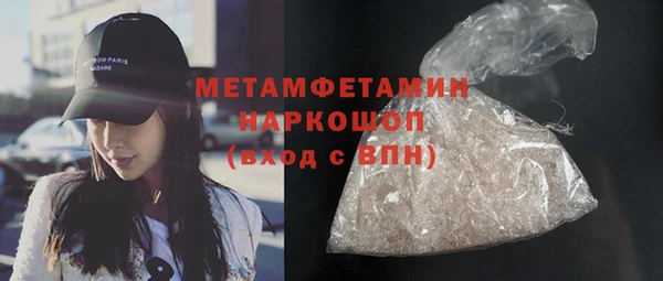 стаф Новокубанск