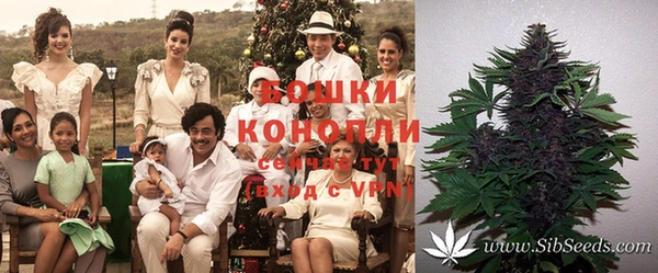 герыч Новодвинск