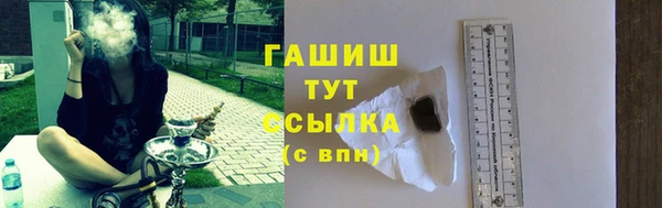 стаф Новокубанск