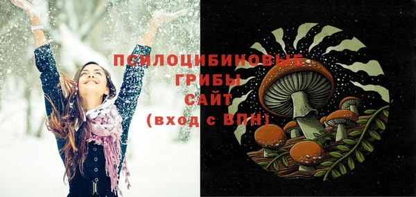стаф Новокубанск