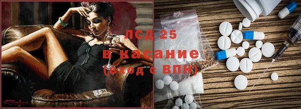 стаф Новокубанск