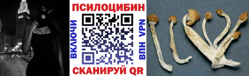 Купить закладки Семилуки Галлюциногенные грибы мицелий